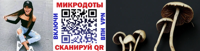 Псилоцибиновые грибы мухоморы  Купить закладки  Лангепас 